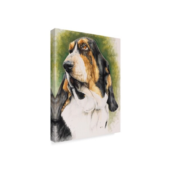 Barbara Keith 'Basset Hound' Canvas Art,24x32